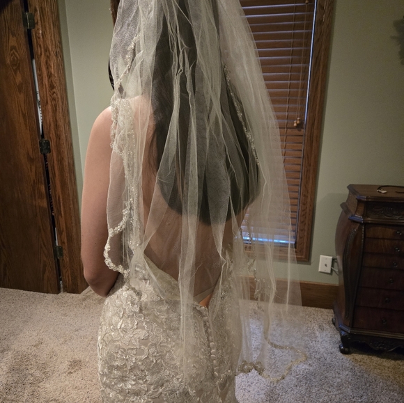 Elegant Beaded Lace Wedding Dress - Picture 11 of 11